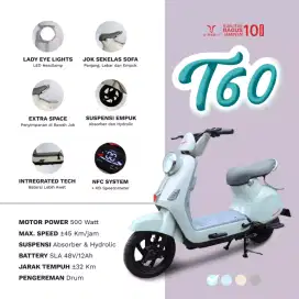 Sepeda Listrik Uwinfly T60