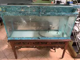 AQUARIUM PANJANG BIRU 147x75x36