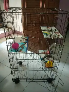 Kandang kucing tingkat