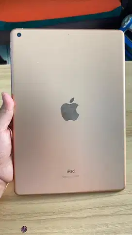Ipad 7 32GB Wifi Gold Mati Total Matot