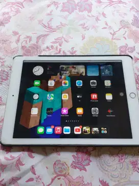 Ipad Air 2 mulus