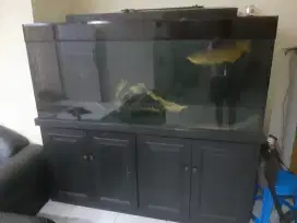 AQUARIUM TEMPERED GLASS