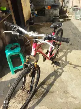 Sepeda mtb genio alloy