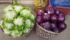 Supplier sayur & buah medan