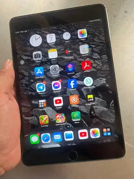 Ipad mini 4 16gb