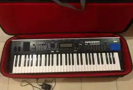 Korg Kross 2 (keyboard/piano)