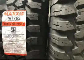 Maxxis bighorn 33 r15