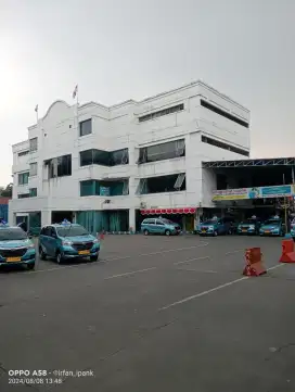 Lowongan pengemudi taksi Blue Bird Group pool Halim.