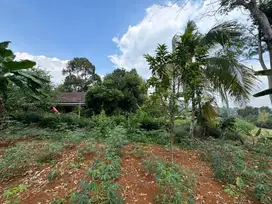 DIJUAL TANAH DIATAS JALAN LOKASI DI GUNUNGPATI DEKAT TERMINAL