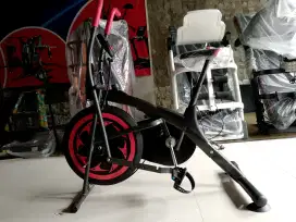 Alat olahraga spinning bike platinum