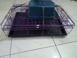 Kandang kucing baru