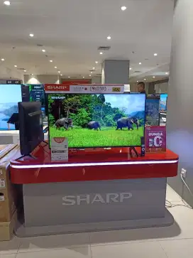 TV SHARP PROMO BUNGA 0%