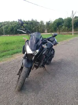 Kawasaki Z250 2013
