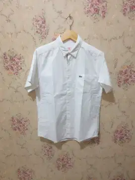 Mulus .authentic baju kemeja .short lacoste size M