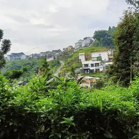 Dijual Tanah Megamendung Puncak Bogor