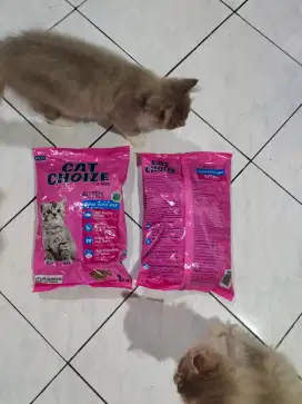 Makanan kucing  anak Kittens dan dewasa, bisa diantar