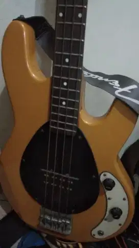 Stringray musicman