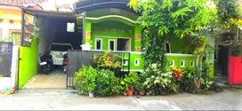 Disewakan/ Dijual Rumah Sejuk dan Nyaman dekat kota