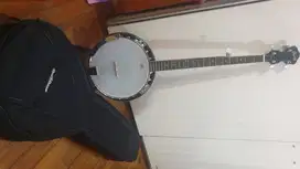 Banjo ibanez B50