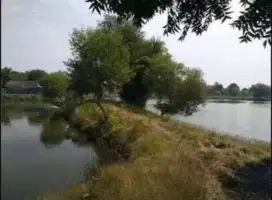 Dijual Tambak Vaname dan Bandeng