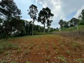 DI JUAL TANAH PEKARANGAN DI GUNUNG PATI - SEMARANG BARAT