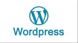 web developer cms wordpress ,joomla  +seo ( juga butuh content creator