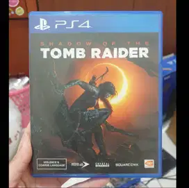 BD PS4 Shadow of The Tomb Raider reg 3
