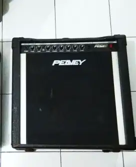 Ampli Gitar 12inch