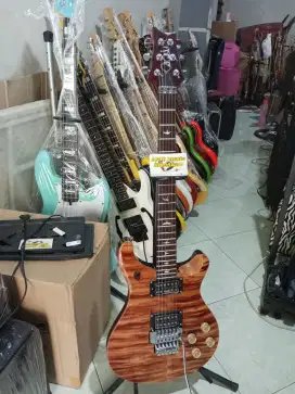 Gitar model PRS tremolo up down