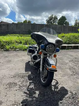 Harley davidson police panda