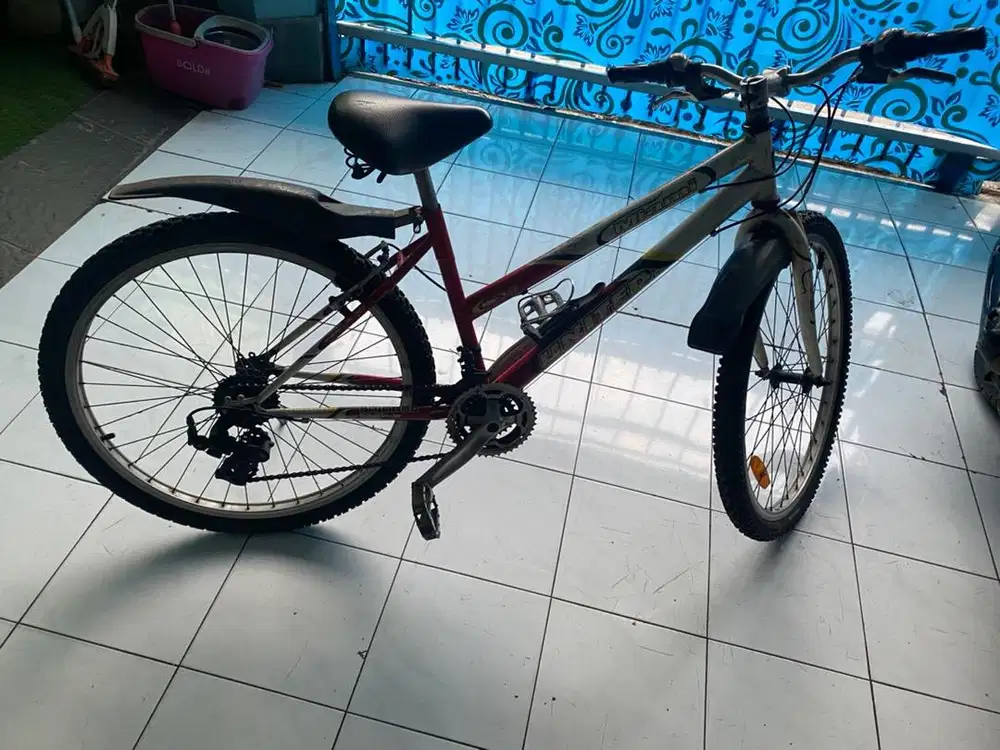 Sepeda United Miami ring 26