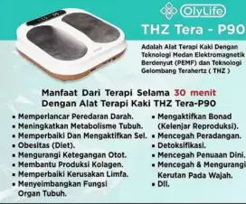 Olylife THz Tera P90 alat terapi