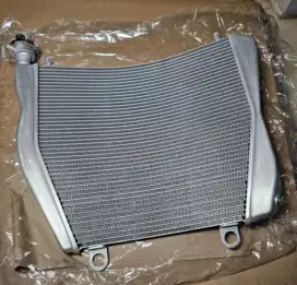 Ducati Panigale Original Parts V4 SF V4 Radiator