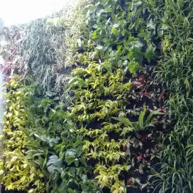 Vertikal garden wall