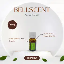 PEPPERMINT 10ML ESSENTIAL OIL