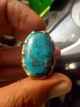 Pirus Persia urat perak
