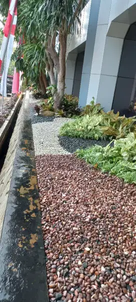 Tukang taman daerah jakarta #tukangtamanjakarta#tukangtamanminimalis