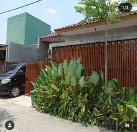 Rumah industrial tropis Cikarang