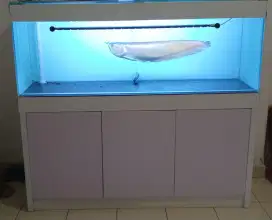 Dijual cepat aquarium set + meja lemari + ikan