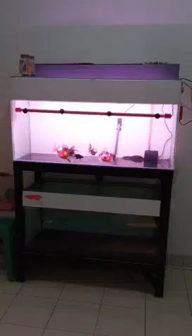 Jual cepat 2 set aquarium lengkap peralatan + bonus ikan