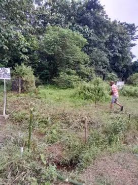 Dijual Cepat BU Tanah Depok Citayam NEGO