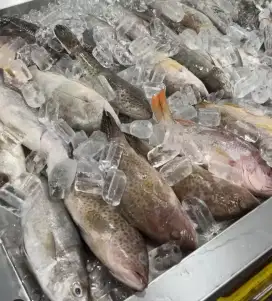 Jual Meja Cuci Ikan/Sayur