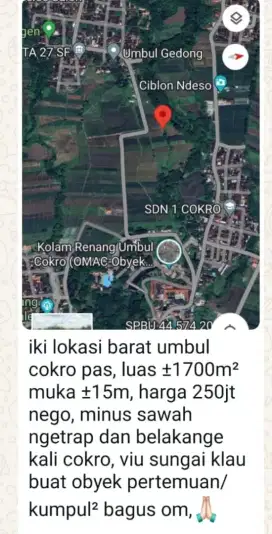 Jual sawah aktif lokasi cokro tulung luas 1700mtr harga 250jt