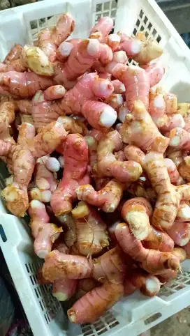 Aneka Bumbu Masakan