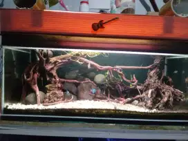 Aquascape tank 90x40x40