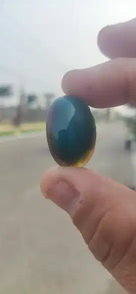 Jual Murah Bacan Hejo Gulao Material Cokmer Spec Kontes DiKelas Large