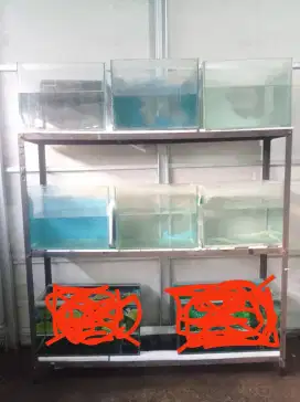 Aquarium Dan Meja Rak Siku 3 Tinggkat Jual Murah