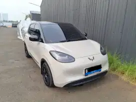 DIJUAL BINGUO PREMIUM RANGE 410km 2024.  MILK TEA