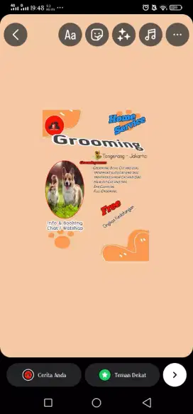 Salon hewan mampang  Lp petshop