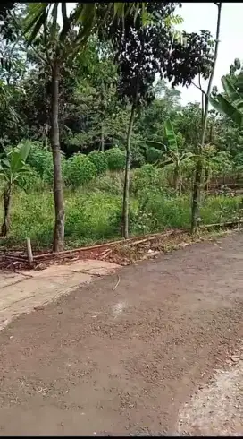 Tah buat bangun rumah